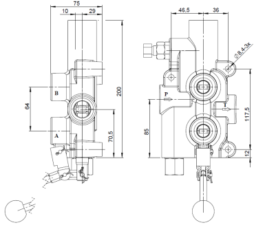 Log Splitter Valve P81-RS
