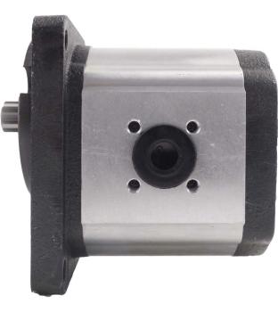 Preview: gear pump hydraulic DIn flange ccm 21 back